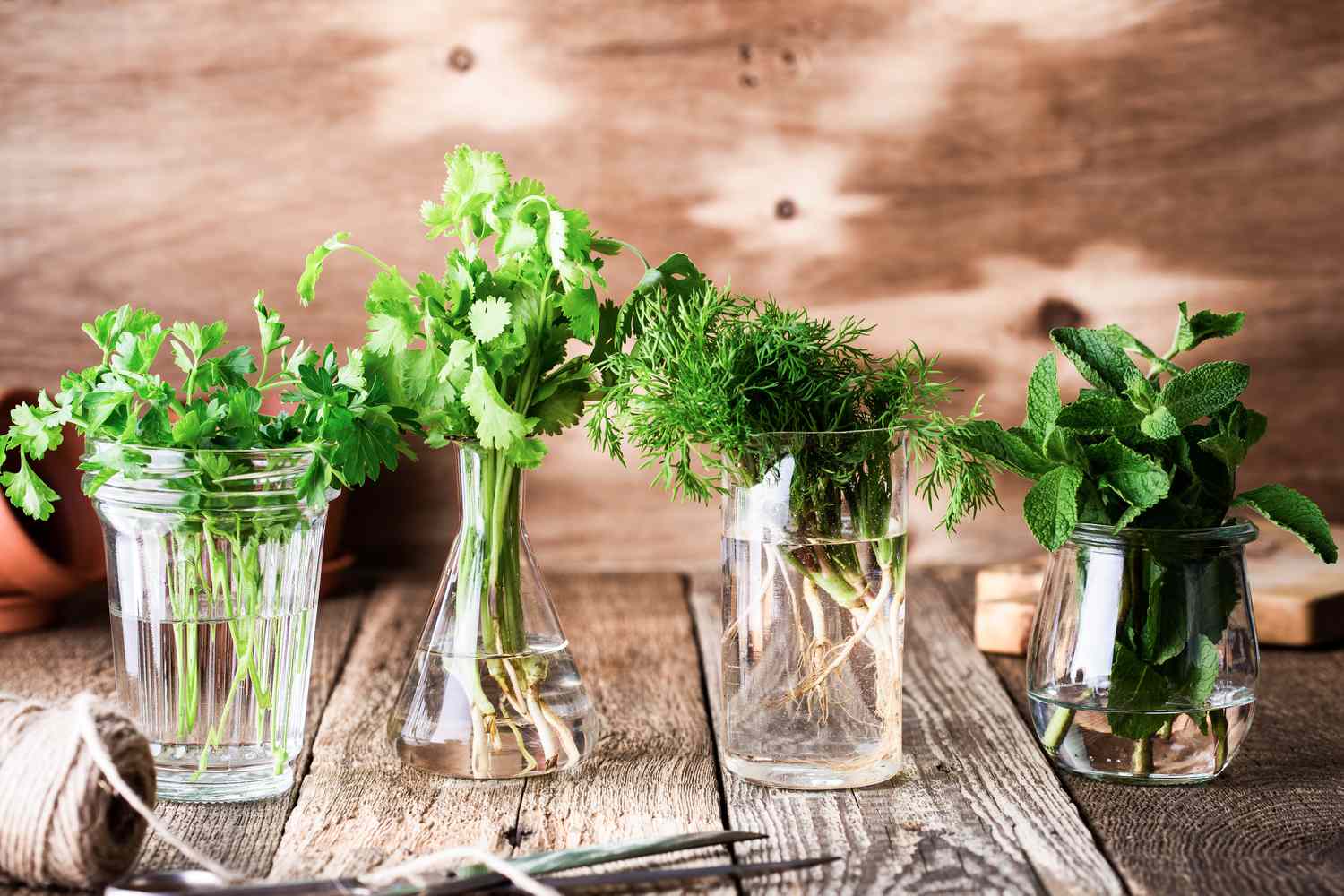 How to Store Fresh Herbs So They Last Longer