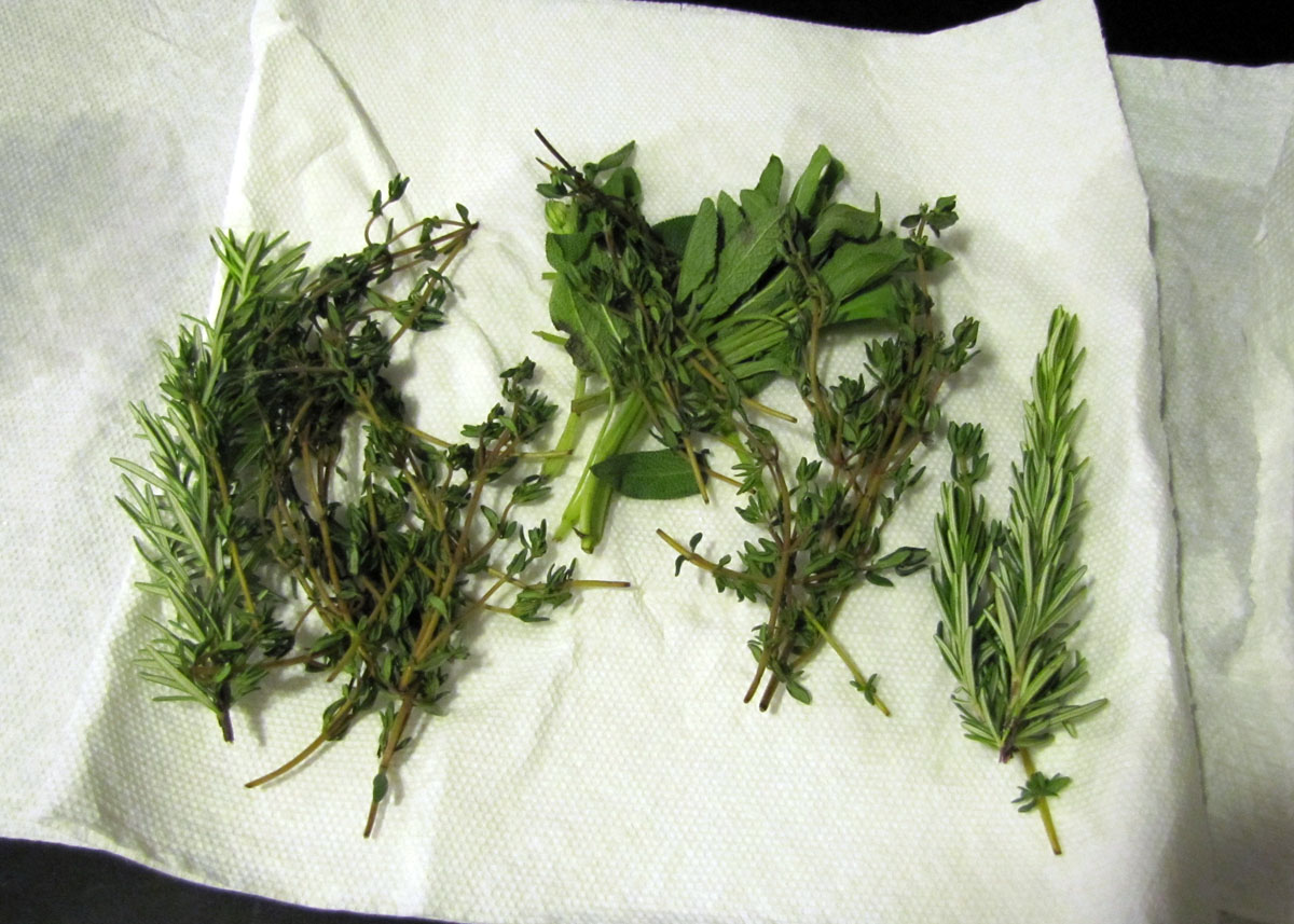 Fresh rosemary and thyme wrapped in a dry paper towel and placed inside a partially open zip-top bag on a kitchen counter